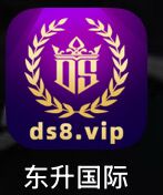东升国际